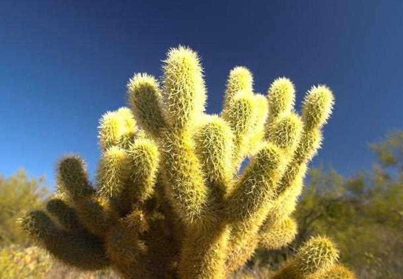 Sonesta Es Suites Phoenix Goodyear Esterno foto